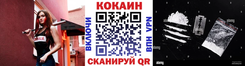 где купить наркоту  Мещовск  Cocaine FishScale 