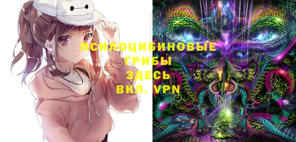винт Абинск
