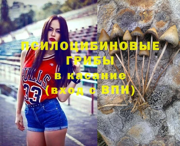 винт Абинск