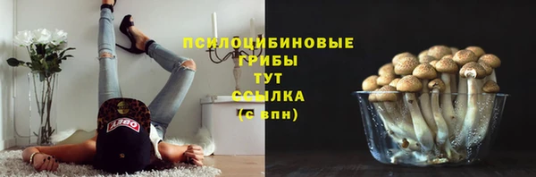 винт Абинск