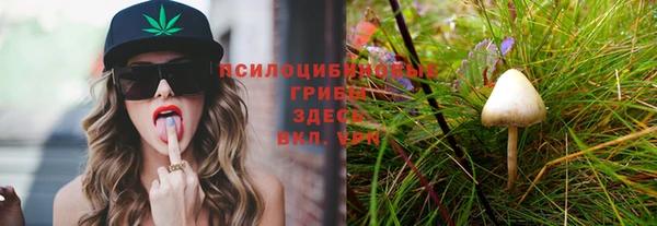 гидропоника Осинники